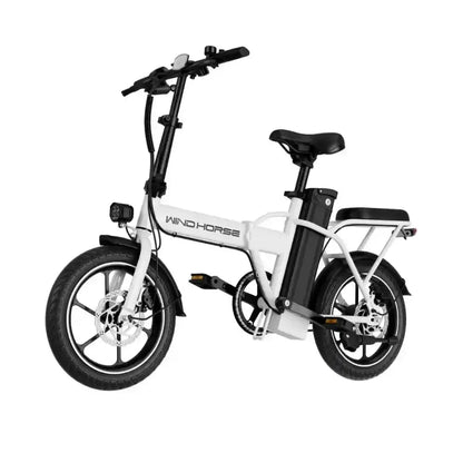 Wind Horse W2A - Move Scoot