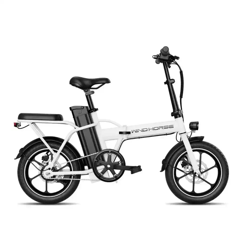 Wind Horse W2A - Move Scoot