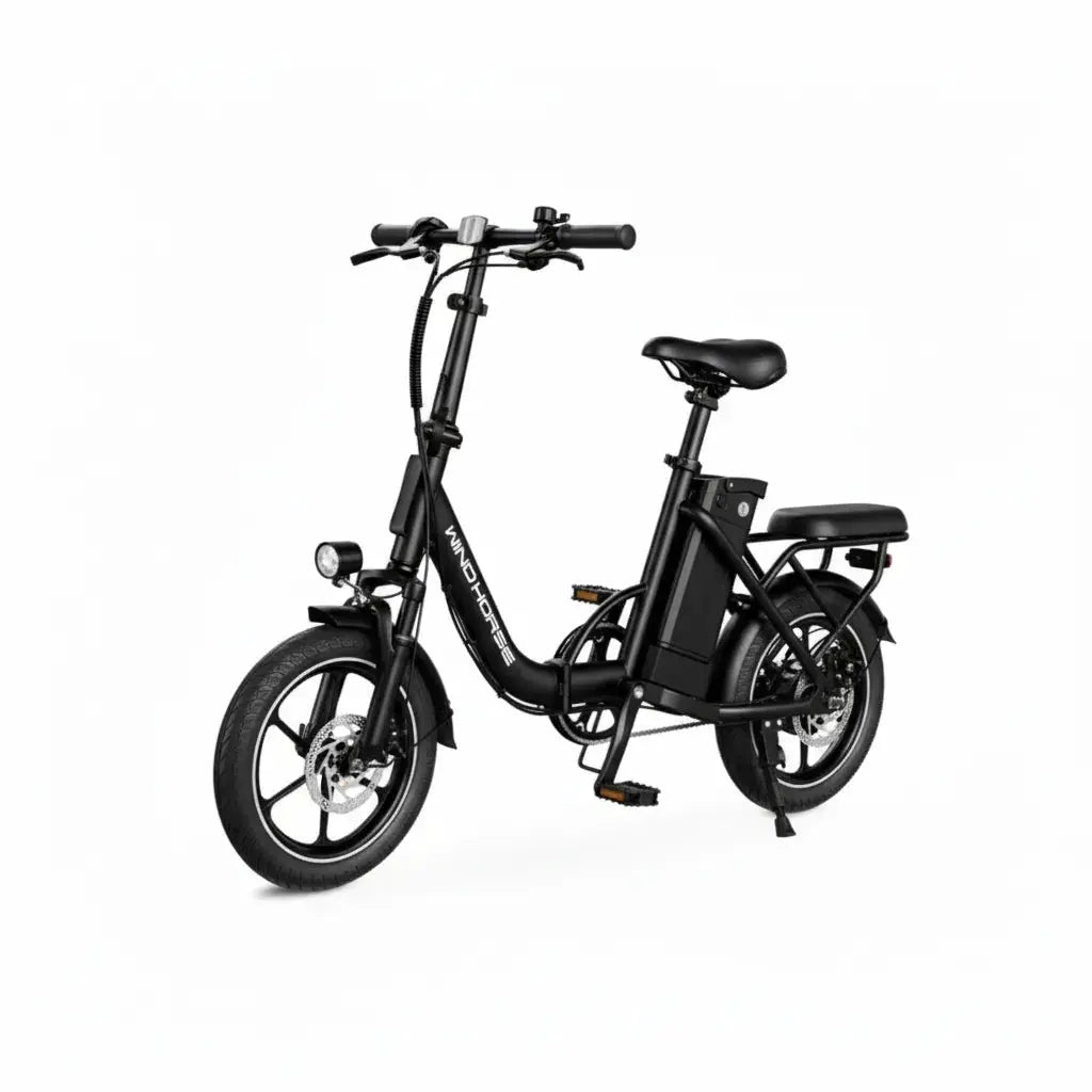 Wind Horse W2B - Move Scoot