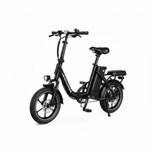 Wind Horse W2B - Move Scoot